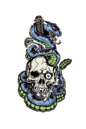 Худи череп со змеей, свитшот череп со змеей, футболка череп со змеей