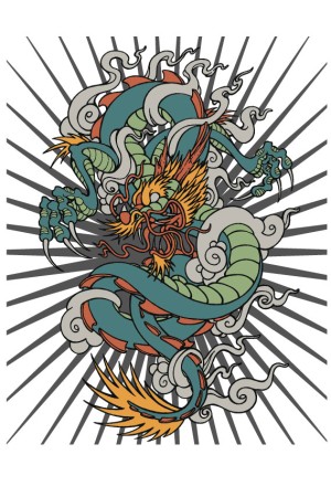 Худи Дракон, свитшот Дракон, футболка Дракон