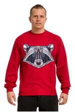  Худи, свитшот, футболка с принтом Енот в этническом стиле