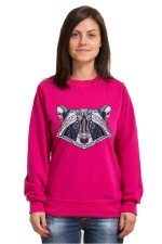  Худи, свитшот, футболка с принтом Енот в этническом стиле