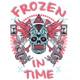 Толстовка, свитшот, футболка Frozen in time