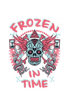 Толстовка, свитшот, футболка Frozen in time