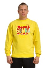 Толстовка, свитшот, футболка Позитив (Today I'm gonna stay positive)