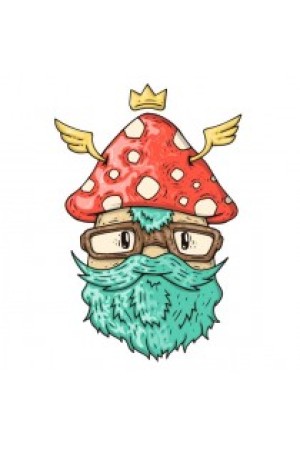 Худи, свитшот, футболка с грибом