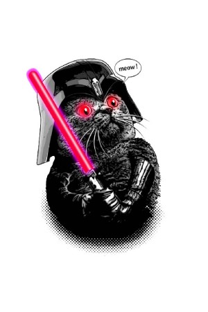 Худи , свитшот, футболка Кот Дарт Вейдер