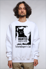  Худи с принтмо Кот Щредингера, свитшот. принтом Кот Щредингера, футболка с принтом Кот Щредингера
