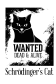  Толстовка с принтмо Кот Щредингера, свитшот. принтом Кот Щредингера, футболка с принтом Кот Щредингера