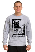 Худи с принтмо Кот Щредингера, свитшот. принтом Кот Щредингера, футболка с принтом Кот Щредингера
