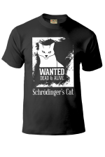  Худи с принтмо Кот Щредингера, свитшот. принтом Кот Щредингера, футболка с принтом Кот Щредингера