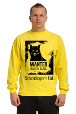  Худи с принтмо Кот Щредингера, свитшот. принтом Кот Щредингера, футболка с принтом Кот Щредингера