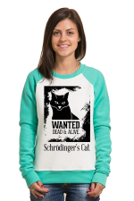  Худи с принтмо Кот Щредингера, свитшот. принтом Кот Щредингера, футболка с принтом Кот Щредингера