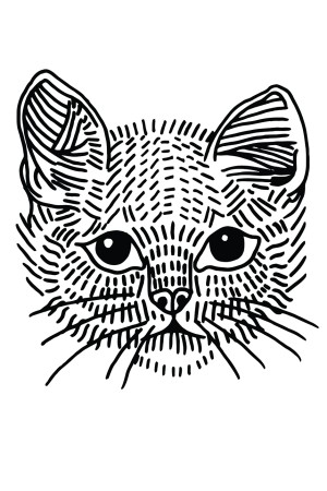 Худи с котом, свитшот с котом, футболка с котом