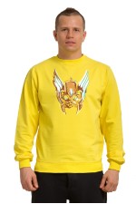  Худи, свитшот, футболка Кот в шлеме