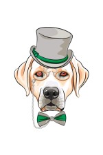  Толстовка с Собакой Лабрадор, свитшот с Собакой Лабрадор, футболка с Собакой Лабрадор