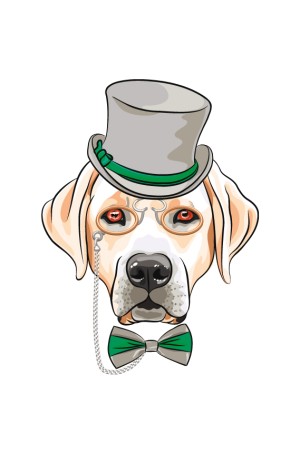 Толстовка, свитшот, футболка с Собакой Лабрадор