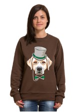  Толстовка с Собакой Лабрадор, свитшот с Собакой Лабрадор, футболка с Собакой Лабрадор