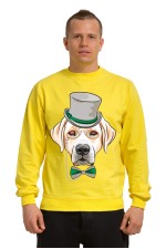  Толстовка с Собакой Лабрадор, свитшот с Собакой Лабрадор, футболка с Собакой Лабрадор