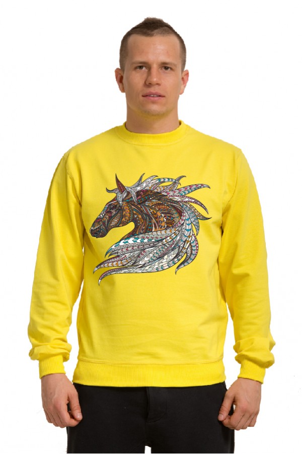  Толстовка, свитшот, футболка с принтом "Лошадь в этническом стиле"
