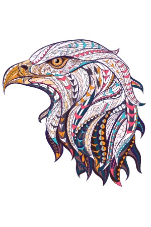 Худи с орлом, свитшот с орлом, футболка с орлом