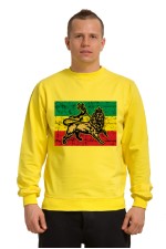  Худи, свитшот, футболка Растаманский лев