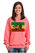  Худи, свитшот, футболка Растаманский лев