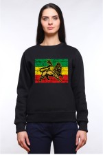  Худи, свитшот, футболка Растаманский лев