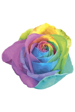 Толстовка, свитшот, футболка с Розой