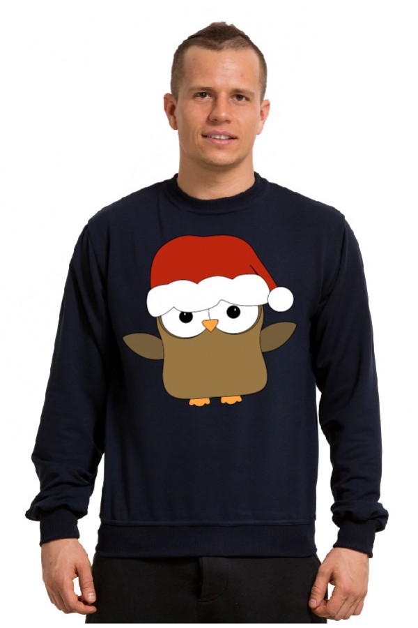 Cвитшот Сова Дед Мороз, толстовка Сова Дед Мороз, футболка Сова Дед Мороз
