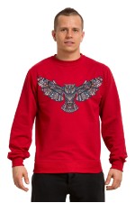  Толстовка, свитшот, футболка Сова с расправленными крыльями