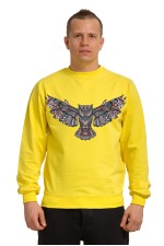  Толстовка, свитшот, футболка Сова с расправленными крыльями