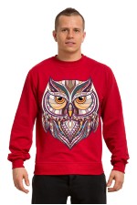  Толстовка Совушка в этническом стиле, свитшот Совушка в этническом стиле, футболка Совушка в этническом стиле