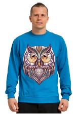  Толстовка Совушка в этническом стиле, свитшот Совушка в этническом стиле, футболка Совушка в этническом стиле