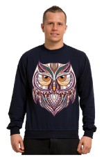  Толстовка Совушка в этническом стиле, свитшот Совушка в этническом стиле, футболка Совушка в этническом стиле