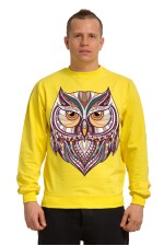  Толстовка Совушка в этническом стиле, свитшот Совушка в этническом стиле, футболка Совушка в этническом стиле