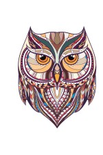  Толстовка Совушка в этническом стиле, свитшот Совушка в этническом стиле, футболка Совушка в этническом стиле