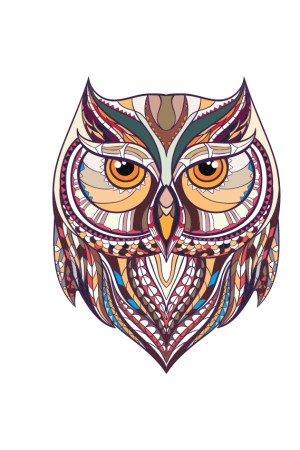 Толстовка, свитшот, футболка Совушка в этническом стиле