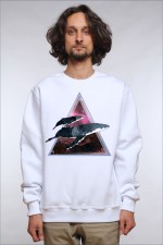 Толстовка, свитшот, футболка Space Whales