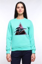 Толстовка, свитшот, футболка Space Whales