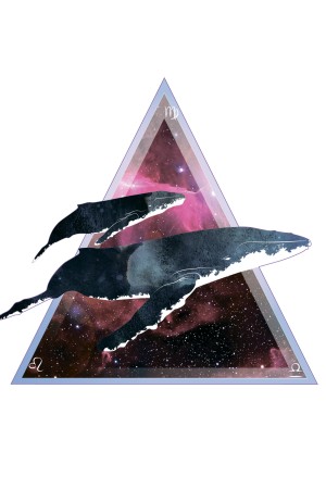 Толстовка, свитшот, футболка Space Whales