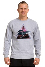 Толстовка, свитшот, футболка Space Whales