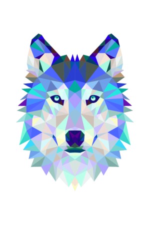 Худи с волком 3D, свитшот с волком 3D, футболка с волком 3D