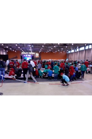 Толстовки на молнии оптом с логотипом для фестиваля Робофест -3850 изделий