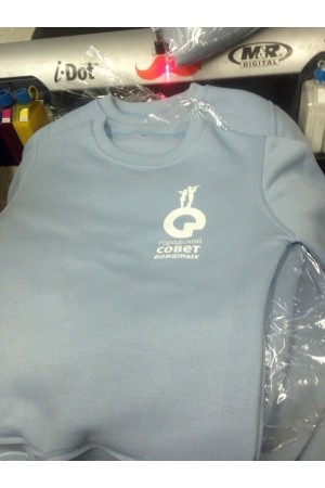 Свитшоты с логотипом "Городской Совет Вожатых" 10 свитшотов