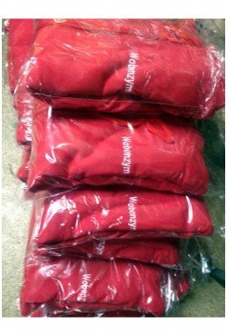 100 красных толстовок на молнии для фармацевтической компании с вышивкой