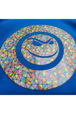 Две толстовки с цветным логотипом на заказ, бордовая и василек