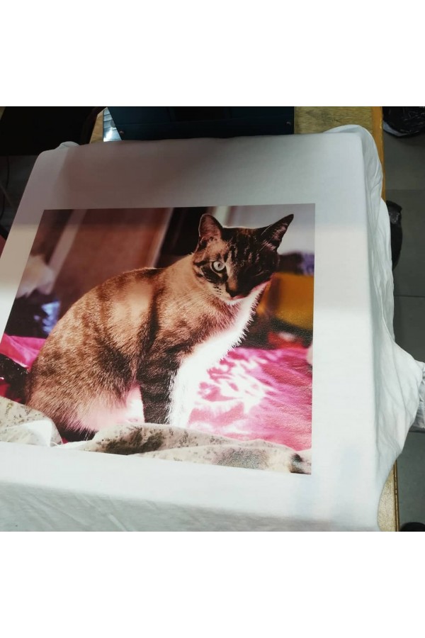  Фото кота на футболке - печать на заказ    Цветная фотография котика, печать на футболке 