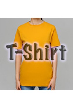 Футболки оптом пошив на заказ, модель Premium T-shirt