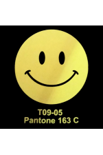 Печать Flex винил А4 |Неоновая пленка (светится в темноте)   Магазин Толстовок Flex - печать неоном | Светится в темноте