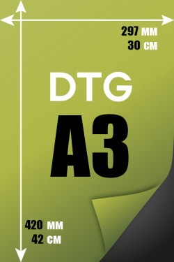 Печать DTG прямая-цифровая А3