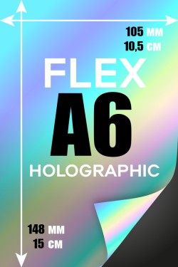Печать Flex винил А6 | Hologram